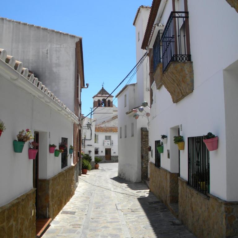 Moclinejo House - Casa de 3 dormitorios - 33