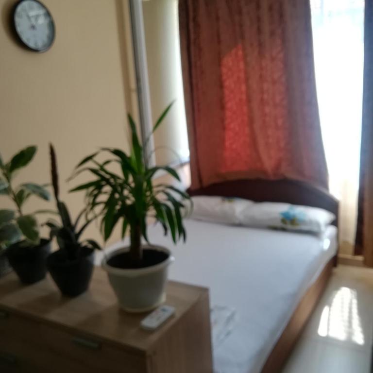 Apartments Vis Jaz - Standard Apartment - 22
