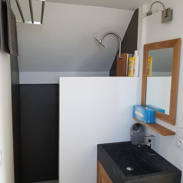 Angers Green Lodge - Yellow Sun Appartement - Appartement Supérieur - 9