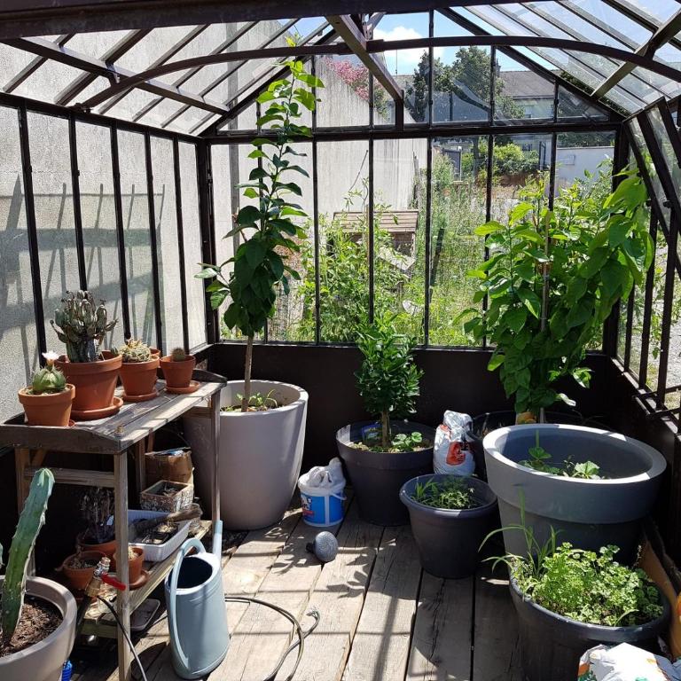 Angers Green Lodge - Yellow Sun Appartement - Appartement Supérieur - 5