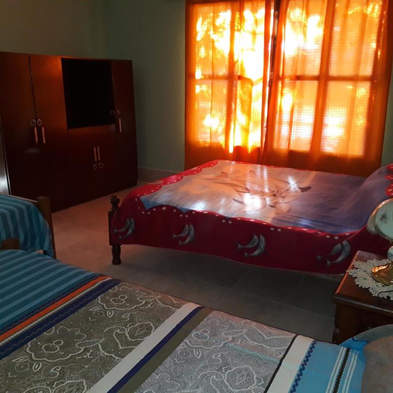 Hostel Odorico - Family Room with Mountain View - 2