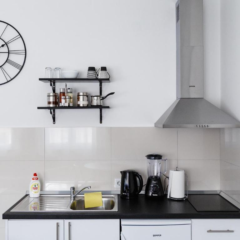 Art apartment - Apartman sa 1 Spavaćom Sobom - 9