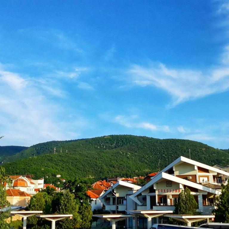 Vila Simic - Vila - 5