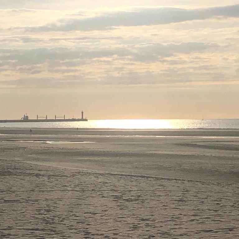 Une virée à Dunkerque entre ville et plage - Appartamento con 1 Camera da Letto - 19