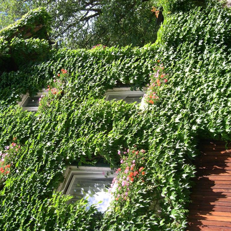 Obergereuth Hof 1288 - Appartamento con Vista Giardino - 3