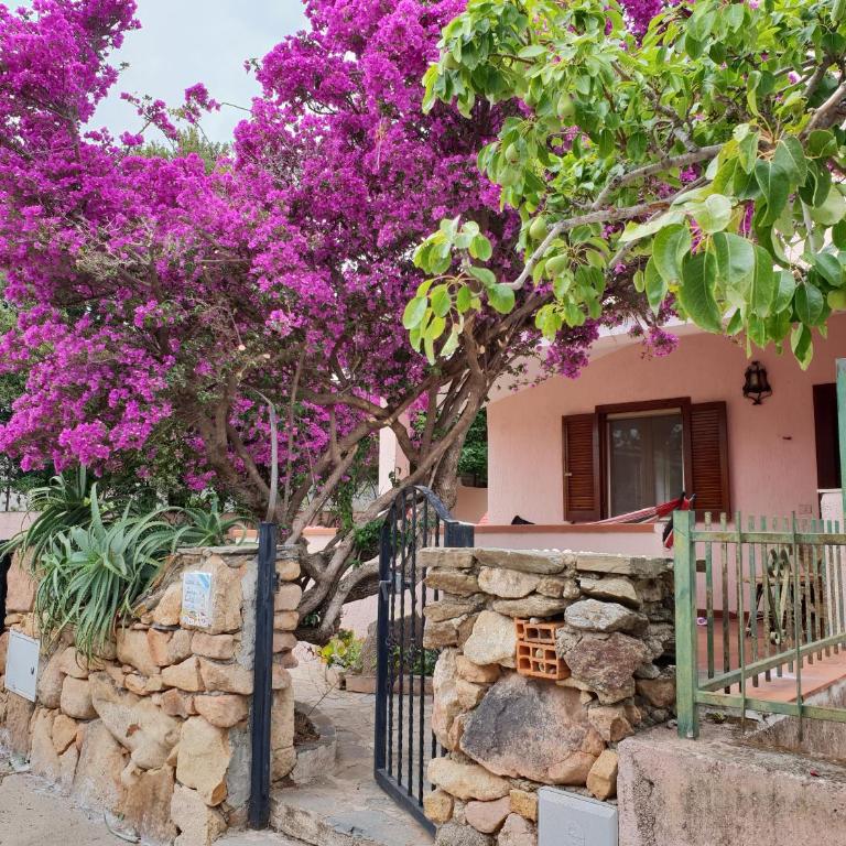 Casa vacanze San Teodoro - Casa con 2 Camere da Letto - 4
