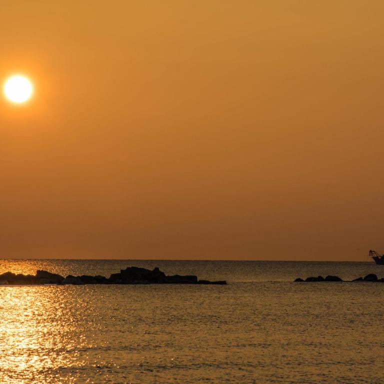 Stelle sul mare San Benedetto del Tronto - Appartamento - Piano Terra - 1