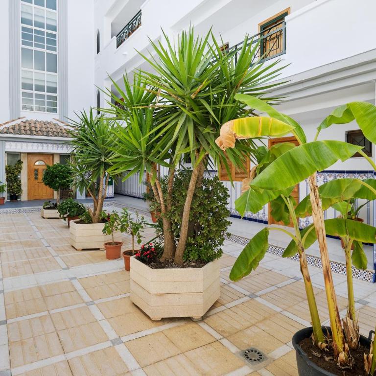 urb ViñaMar - Apartment - 11