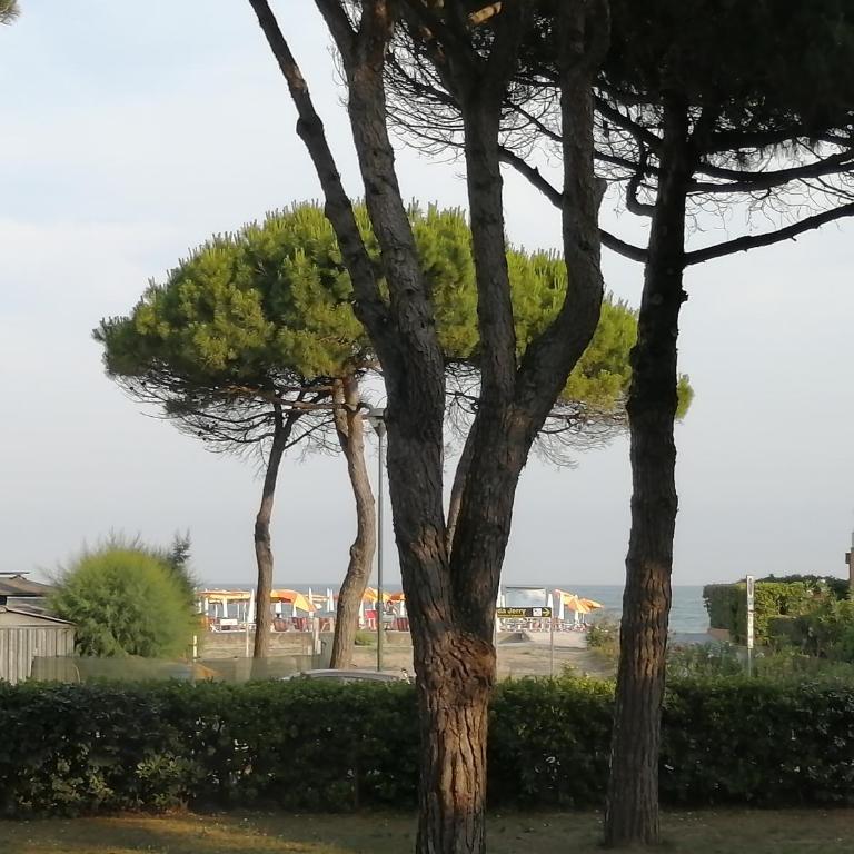 Il MARE alla FINESTRA - Apartment mit 2 Schlafzimmern - 56