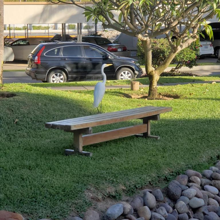 Condo Costa Bonita Beach & Resort - Apartment with Garden View - 46