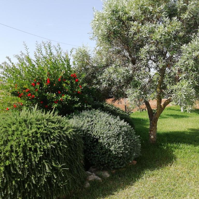 Villa Maria - Villa - 18