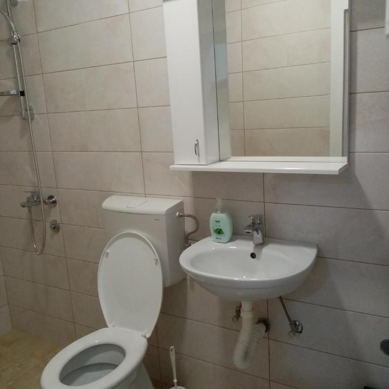 Apartmani MIDUĆI - One-Bedroom Apartment - 12