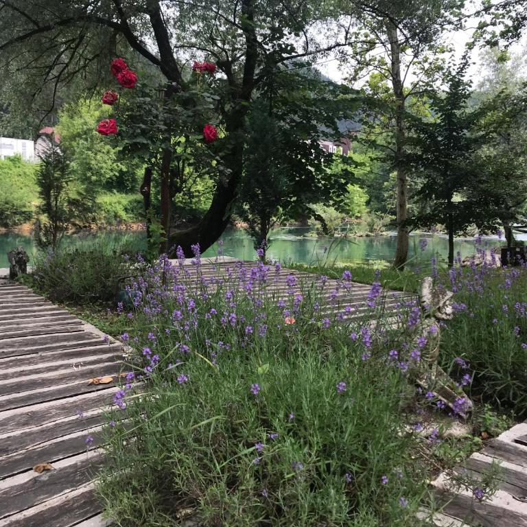 ATRIUM Holiday home - Vila - pored Plaže - 65