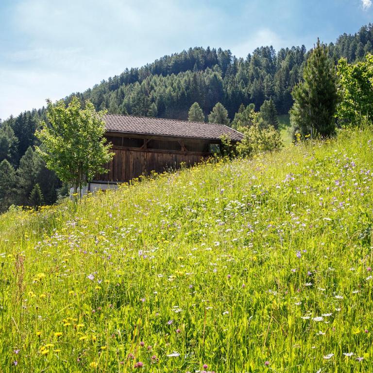 Nestlhof - Apartamento de 1 dormitorio - 12