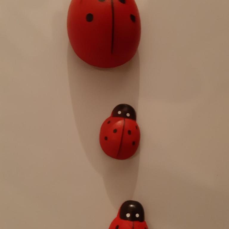 Apartman Ladybug - Apartman sa 1 Spavaćom Sobom - 2