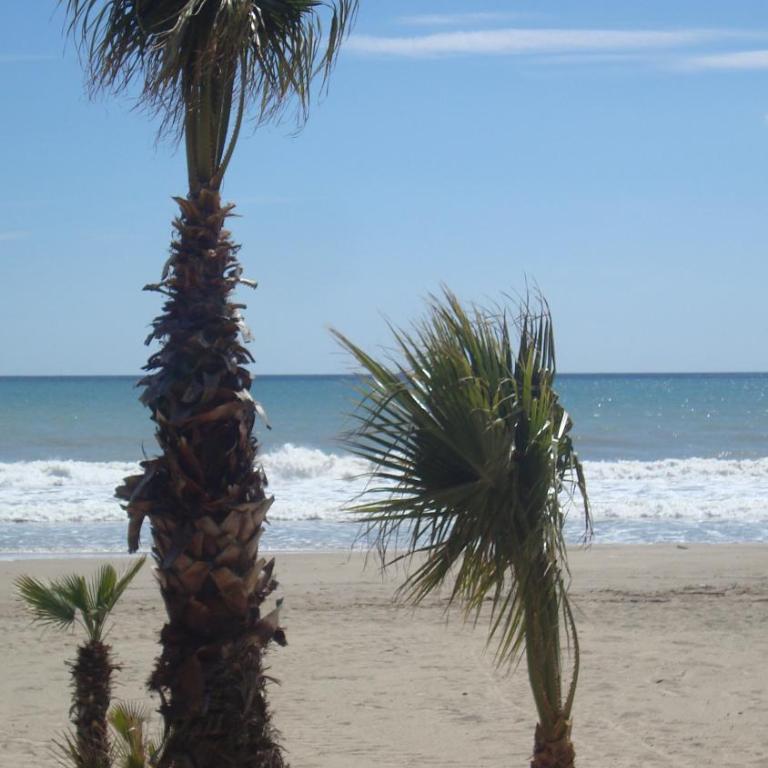 Appt Terrasse, Piscine, Locamar Appt Cristina - Three-Bedroom Apartment - 4
