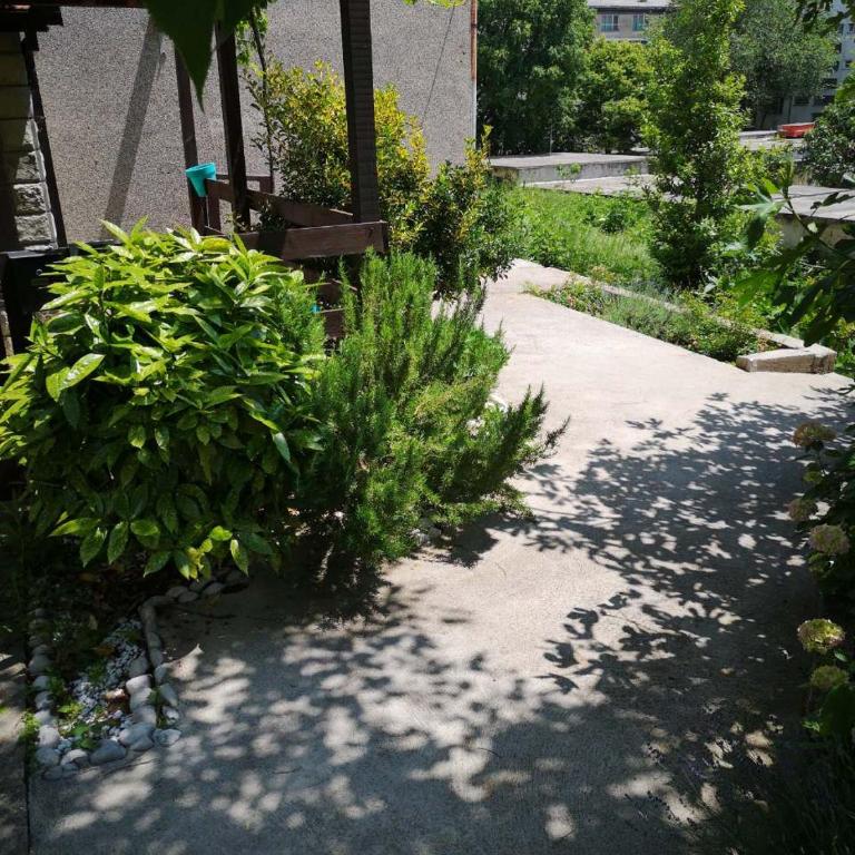Dea - Apartment with Terrace - 14