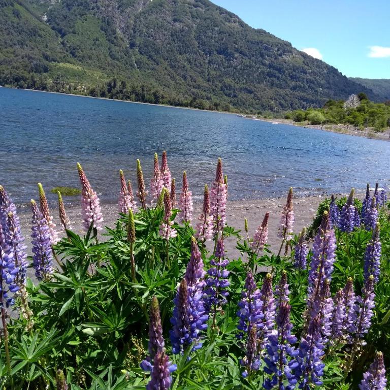 TU RINCON EN LA PATAGONIA - One-Bedroom Apartment - 10
