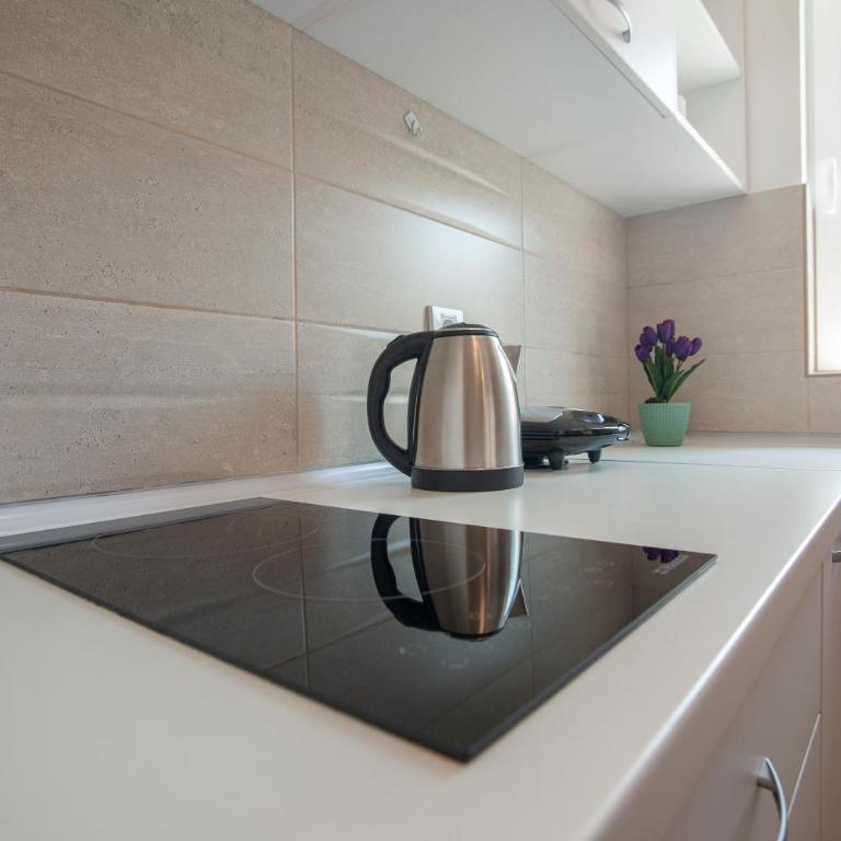 Guest House Djonovic - One-Bedroom Apartment - 30