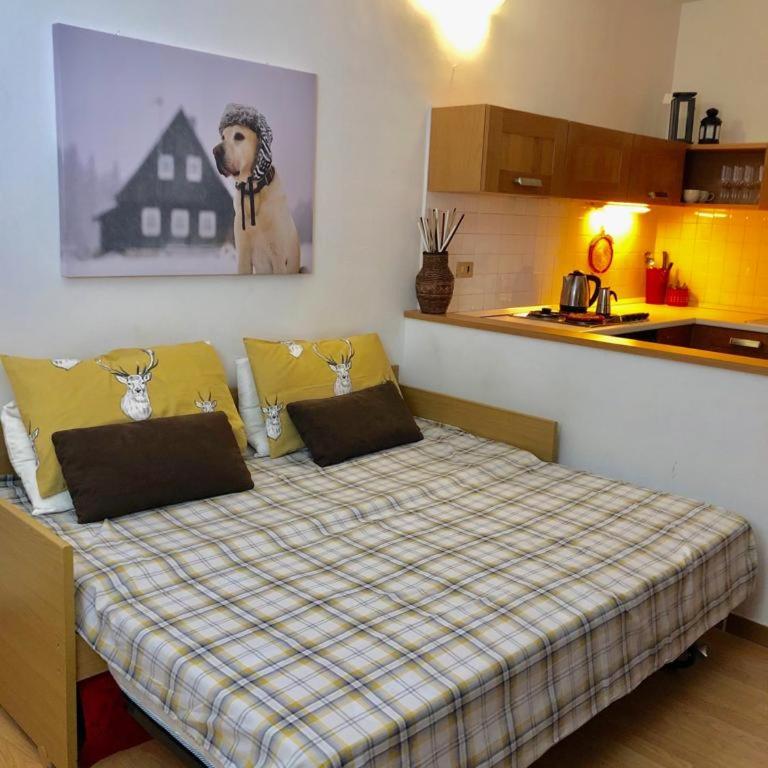 Appartamento AB - Appartamento con 1 Camera da Letto - 6