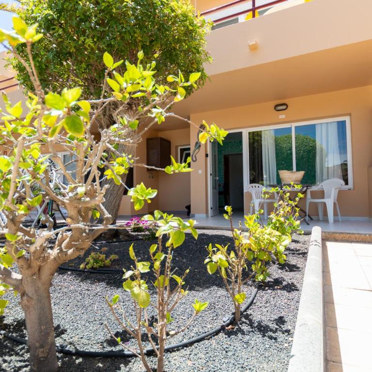 PoolViewZen-CorralejoPlaya - One-Bedroom Apartment - 19