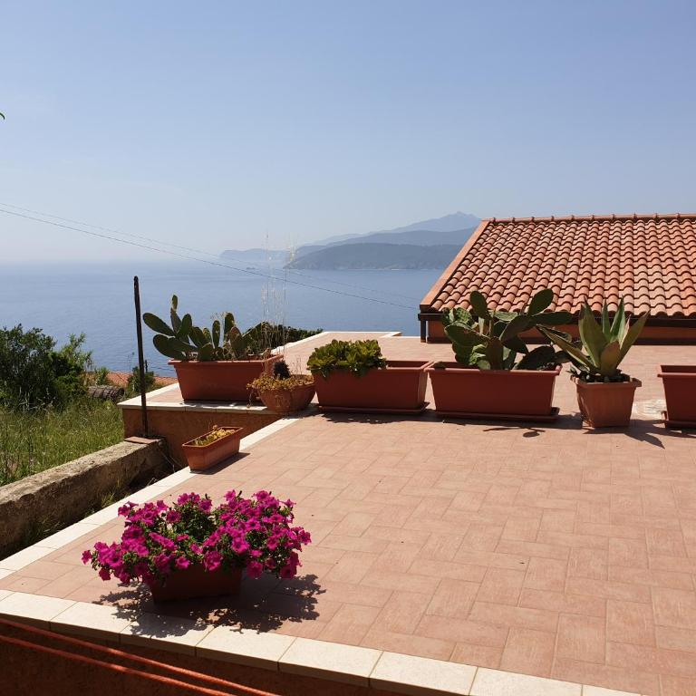 Appartamenti Il Sogno - Appartamento - 3