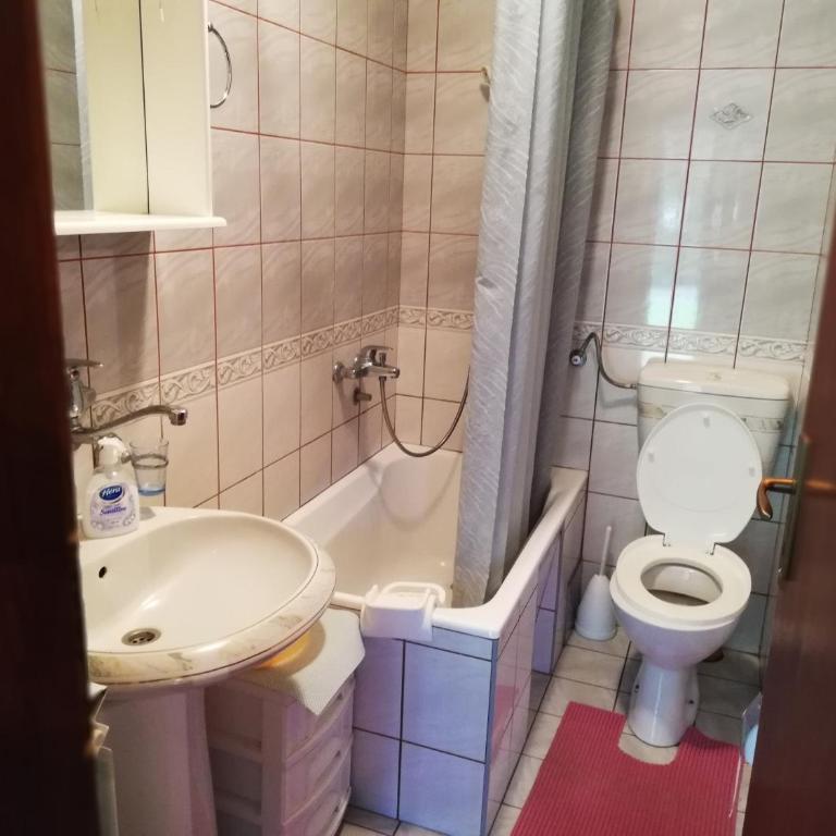 Vila Todos - Apartman - Prizemlje - 7