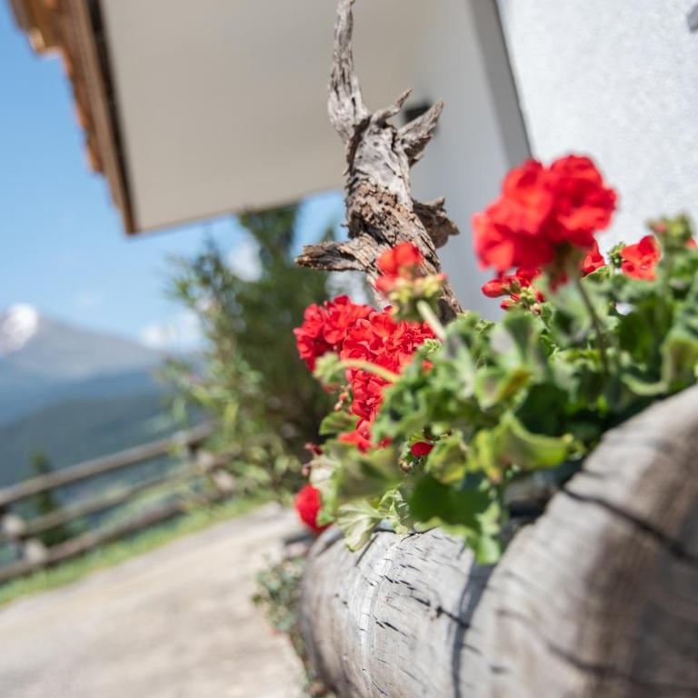 Forchnerhof Panorama - App 3 Täler Blick - Apartment mit 2 Schlafzimmern - 16