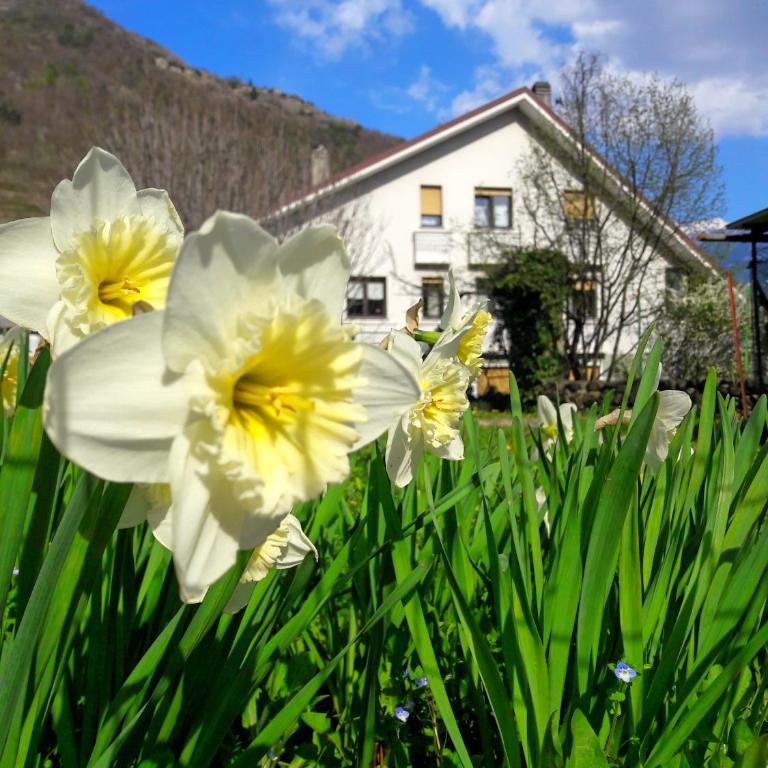 Casa Vacanze Santa Perpetua - Ferienhaus - 3