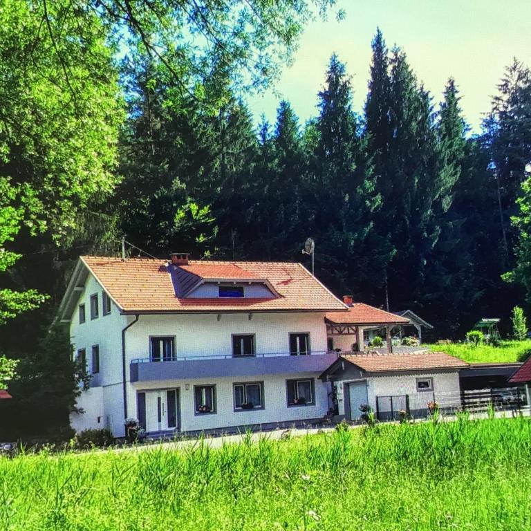Haus Manuela - Apartment mit 2 Schlafzimmern - 1