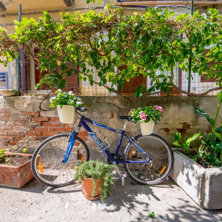 Hortensia House - Appartamento con 1 Camera da Letto - 20