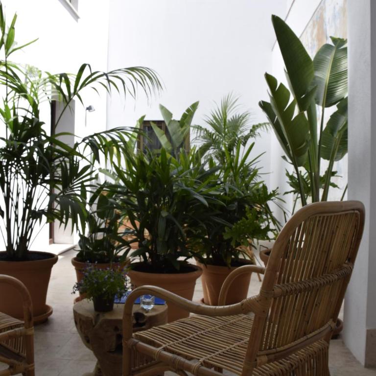 Chacón Apartments & Suites - Apartamento de 1 dormitorio - 18