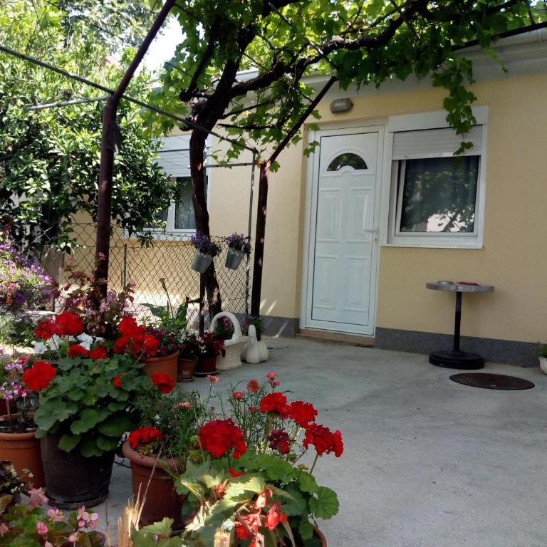 Apartman Lora - Apartment - 1