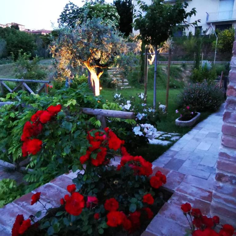 Residenza al Poggio degli Ulivi - Casa Vacanze - 7