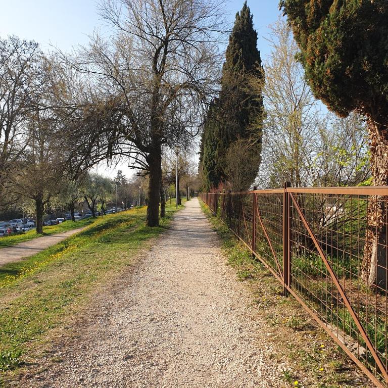 DIVINA SAN ZENO - Appartamento con 1 Camera da Letto - 27