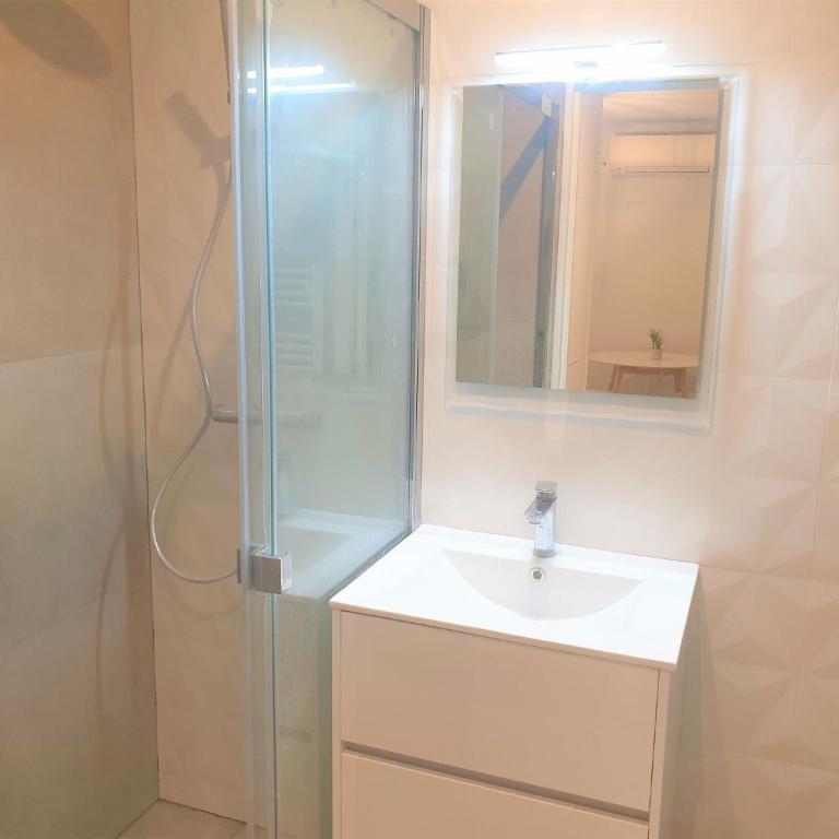 ALSACE LORRAINE CENTRE PROCHE MER 101 - Appartement - 5