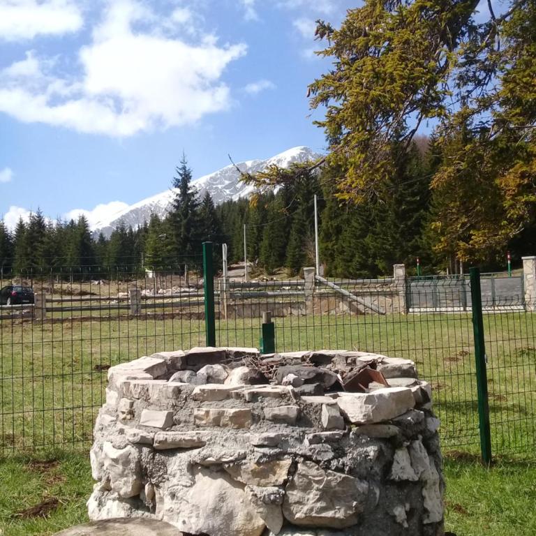 Orange House in nature - One-Bedroom House - 22