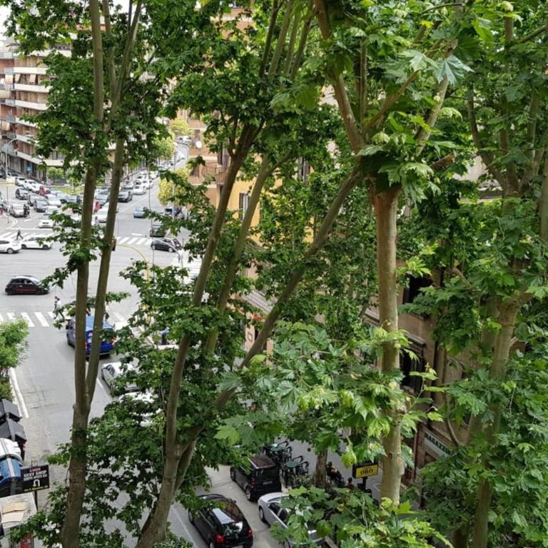 A casa di Juno "Vivi Roma come un vero local" - Appartement 1 Chambre - 5