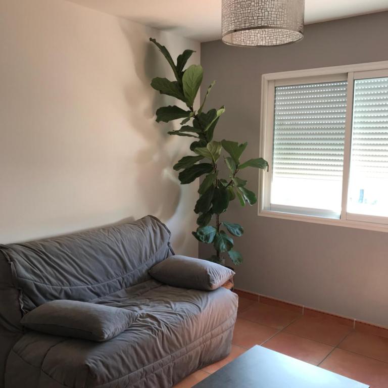 Appartement à la mer - Maison 1 Chambre - 20