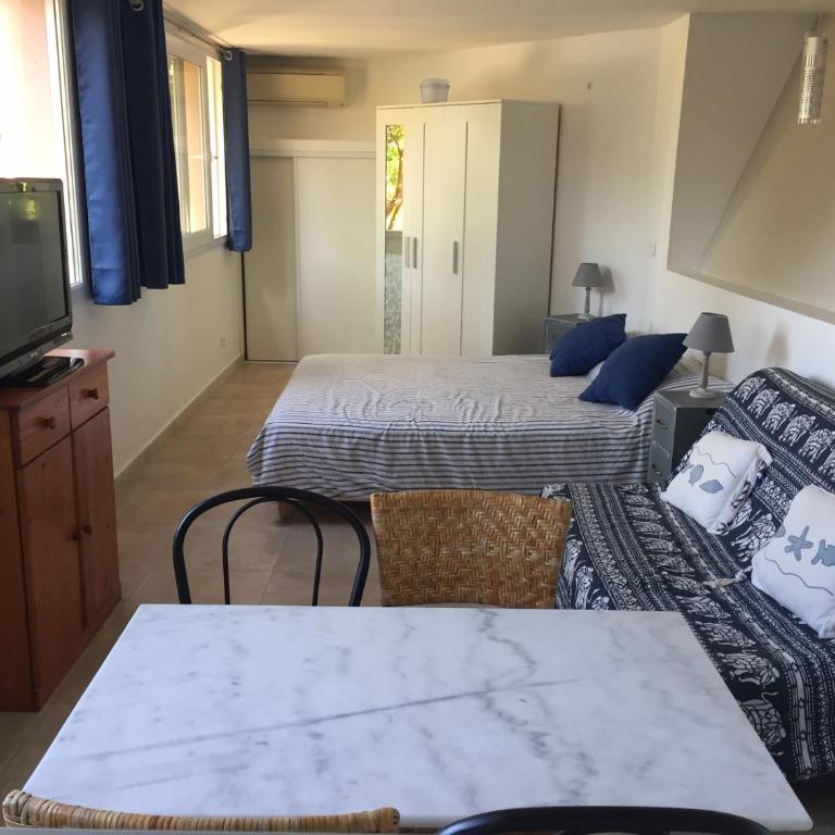 Magnifique Studio - Appartement 1 Chambre - 10