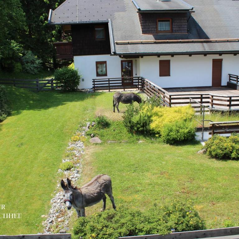 DORFBLICK Diamant - Panoramic & ski-to-door Apartment - Apartment mit 2 Schlafzimmern - 8