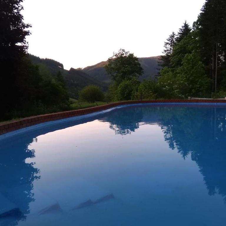 Pool, Pokale, Sauna, Billard, Kirche u. viel Natur - Villa - 7