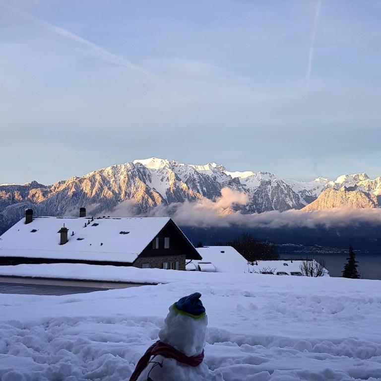 Montreux Holiday Home - Deluxe Villa - 21