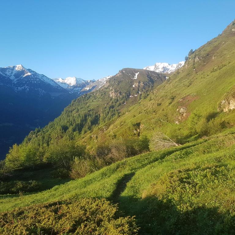 "Chalet le Dahlia - 4 Vallees" - Superior Chalet - 32