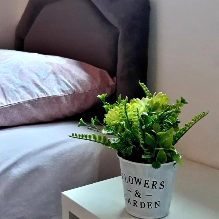 Apartman Tatjana - Apartman - Prizemlje - 16