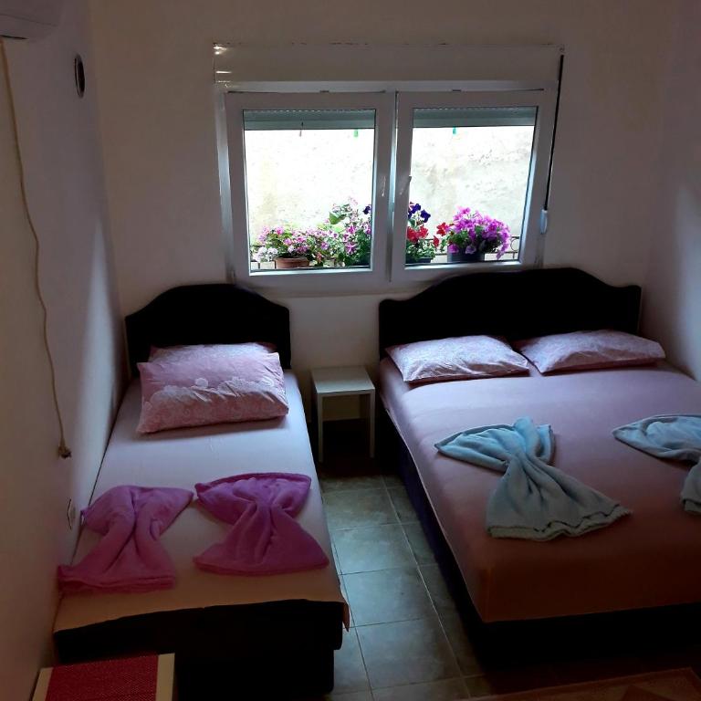 Apartman Tatjana - Apartman - Prizemlje - 12