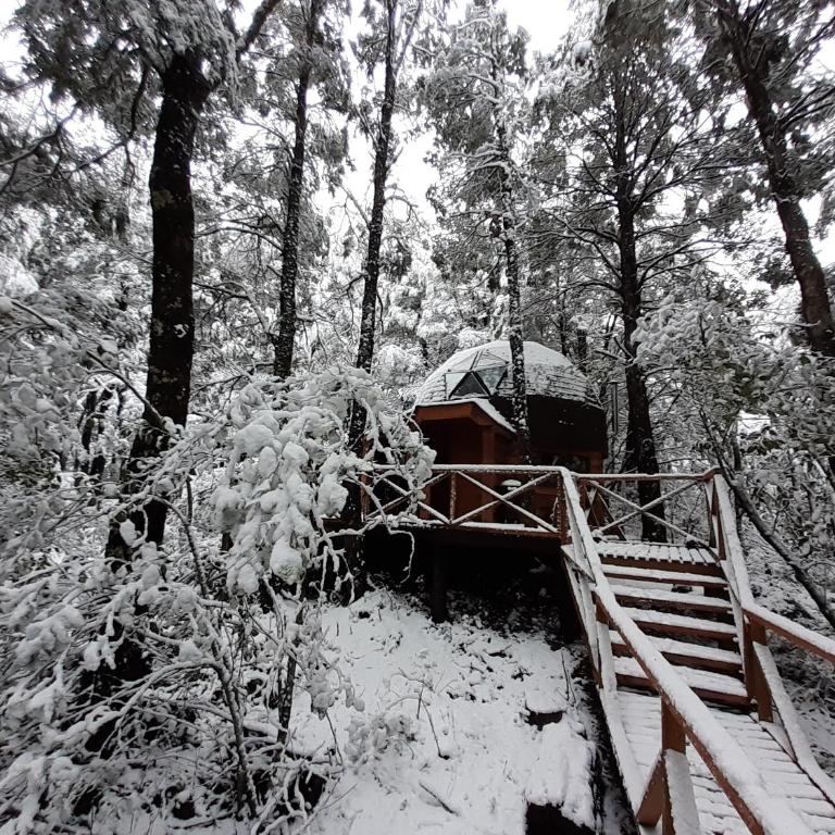 Domos Entre Bosques - Bungalow Familiar - 13