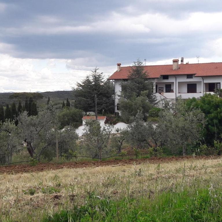 Dolci Ricordi - Two-Bedroom Apartment - 1