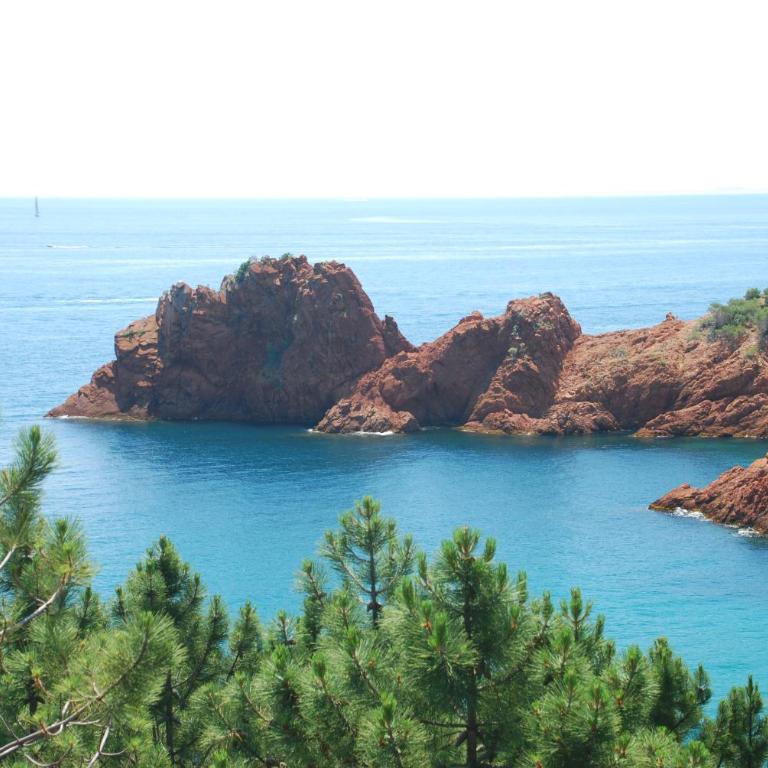 La Calanque du Boucharel - Chambre Double Standard - 7