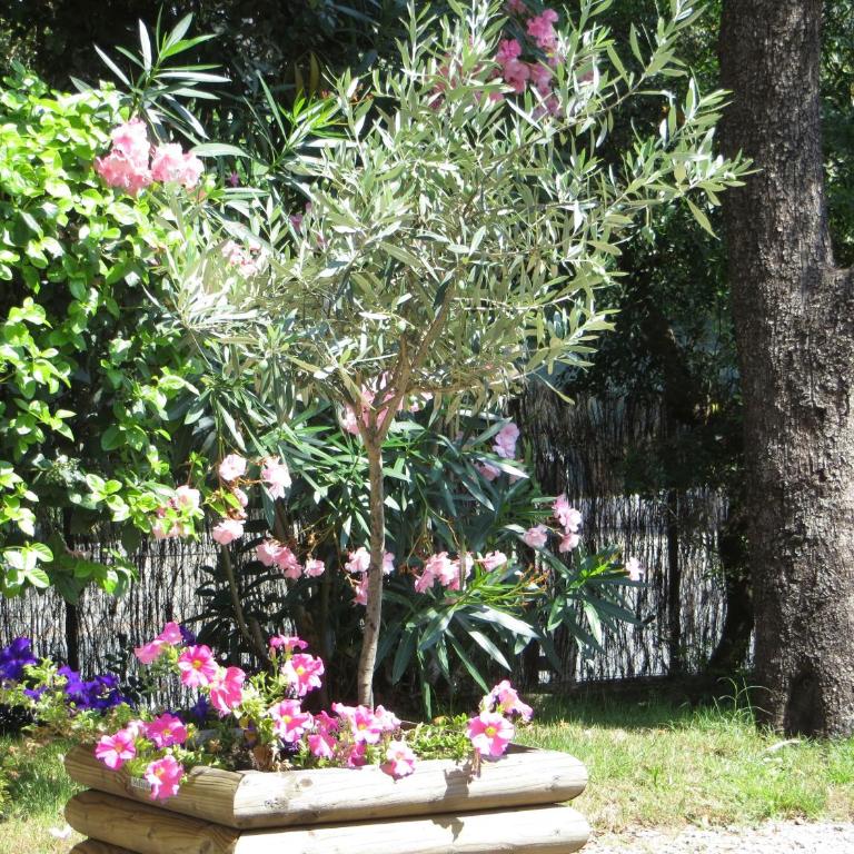 Appartement dans Villa St Raphael - Appartamento con 1 Camera da Letto e Terrazza - 27